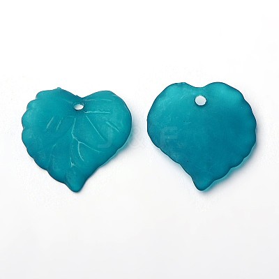 Transparent Acrylic Pendants PL591-11-1