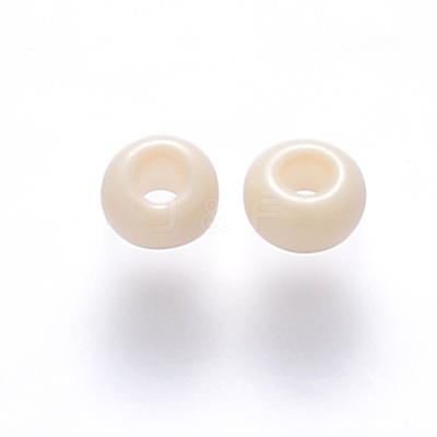 6/0 Baking Paint Glass Round Seed Beads SEED-S036-01C-19-1