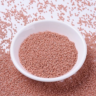 MIYUKI Delica Beads X-SEED-J020-DB1363-1