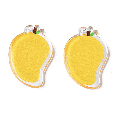 Translucent Acrylic Pendants TACR-N013-013-1