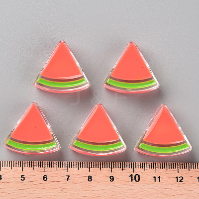 Transparent Enamel Acrylic Beads TACR-S155-001A-1