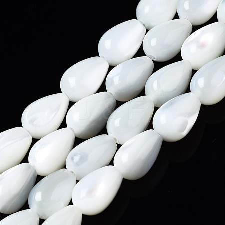 Natural Trochid Shell/Trochus Shell Beads Strands SSHEL-S266-022-1