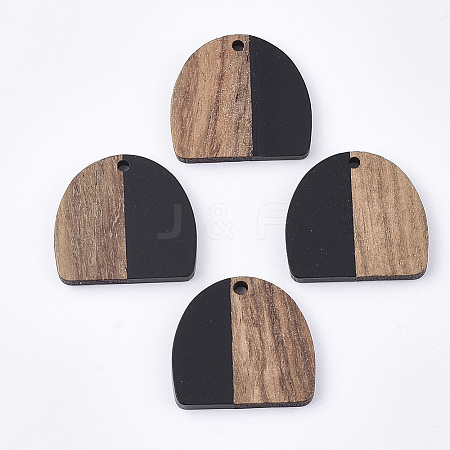 Resin & Walnut Wood Semi Circle Pendants X-RESI-T035-07A-1