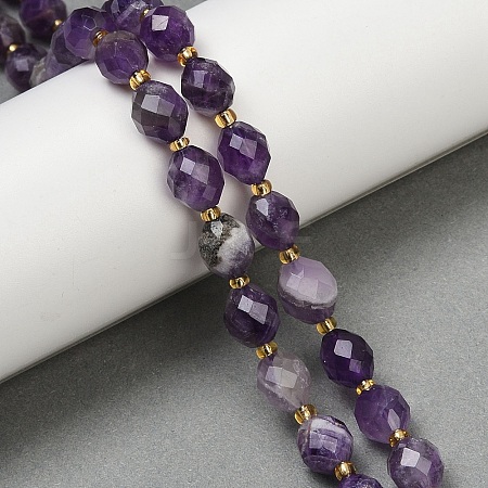 Natural Amethyst Beads Strands G-N342-149G-1