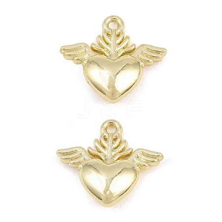 Alloy Charms AL-CBA415D-17G-1