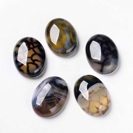 Natural Dragon Veins Cabochons X-G-F296-05-18x25mm-1