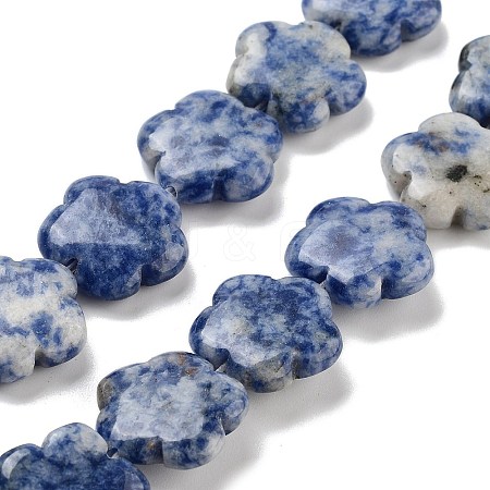 Natural Blue Spot Jasper Beads Strands G-F769-D01-02-1