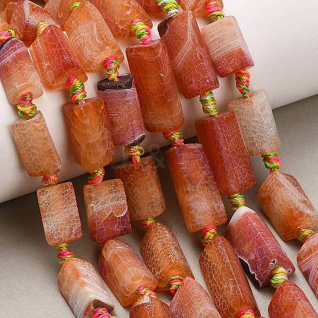Natural Weathered Agate Beads Strands G-A321-F02-01B-1