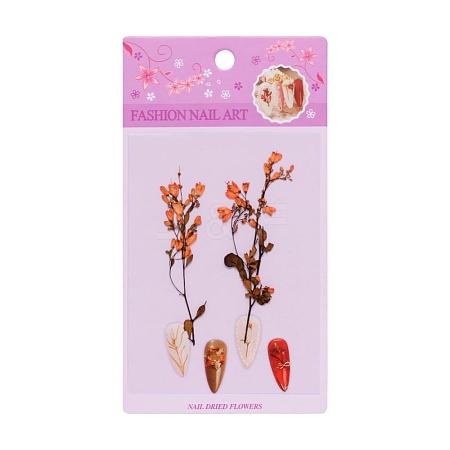 3D Dried Flowers Nail Art Decorations MRMJ-S012-049D-1