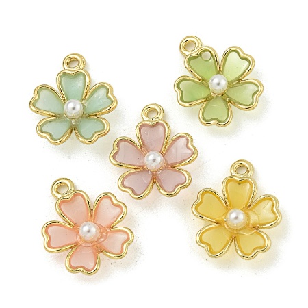 Alloy Resin Pendants FIND-M033-05-1