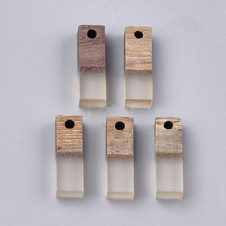 Resin & Walnut Wood Pendants RESI-S358-19C-1