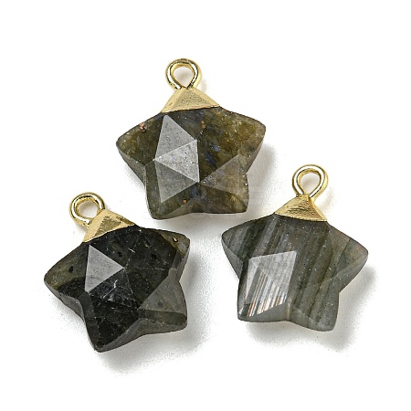 Natural Labradorite Pendants G-P540-01G-06-1