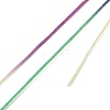 Segment Dyed Polyester Thread NWIR-I013-A-11-3