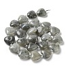 Natural Labradorite Beads Strands G-E614-A11-01-2