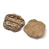 Natural Picture Jasper Carved Cabochons G-I395-A01-2