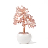 Natural Rose Quartz Chips with Brass Wrapped Wire Money Tree on Ceramic Vase Display Decorations DJEW-B007-02E-1