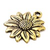 Alloy Pendants PALLOY-Q365-01AG-2