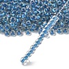 TOHO 6/0 Round Beads X-SEED-TR06-0263-2
