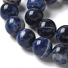Natural South Africa Sodalite Beads Strands X-G-S259-35-10mm-5