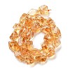 Natural Citrine Beads Strands G-H074-C02-02-3