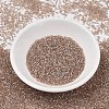 MIYUKI Delica Beads SEED-X0054-DB2373-2