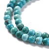 Natural HuBei Turquoise Beads Strands G-K312-25D-3