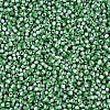 12/0 Glass Seed Beads SEED-S005-36-3