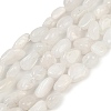 Natural Rainbow Moonstone Beads Strands G-G018-48-01-2