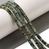 Natural African Turquoise(Jasper) Beads Strands G-N342-83-2