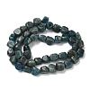 Natural Apatite Beads Strands G-R445-8x10-24A-5