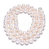 Natural Cultured Freshwater Pearl Beads Strands PEAR-N016-06B-4