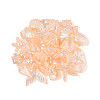 Ocean Theme Transparent Acrylic Beads TACR-T028-69-01D-1