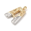 304 Stainless Steel Pendants STAS-Z170-01GP-A-2