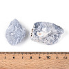 Natural Angelite Display Decorations G-N347-11B-4