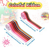 2Rolls 2 Styles Stripe Pattern Printed Polyester Grosgrain Ribbon OCOR-TA0001-37O-10