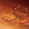 304 Stainless Steel Link Chain Bracelets for Women BJEW-G788-01G-1