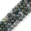 Natural Moss Agate Bead Strands G-J358-01-6mm-1