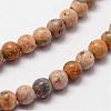 Natural Leopard Skin Jasper Beads Strands G-N0187-02-2mm-3