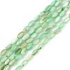 Natural Freshwater Shell Dyed Beads Strands SHEL-M018-13-03-1
