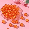 Autumn Theme Transparent Acrylic Beads TACR-S089-20mm-11-5