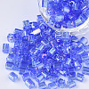 6/0 Glass Seed Beads SEED-S027-06B-06-1