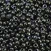 TOHO 6/0 Round Beads SEED-TR06-0089-3
