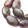 Natural Picasso Jasper Bead Strands G-P444-02-3