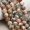 Natural Fire Crackle Agate(Dyed & Heated) Beads Strands G-K425-A03-14mm-1