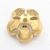 Brass Caps X-KK-E674-05G-2