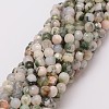 Natural Tree Agate Bead Strands G-G882-6mm-E02-2