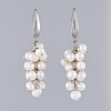 Dangle Earrings EJEW-JE03521-1