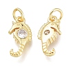Brass Micro Pave Clear Cubic Zirconia Charms KK-M206-36G-2