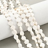 Geark Cross Natural Magnesite Beads Strands G-N0131-04C-1