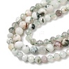 Natural Tree Agate Beads Strands G-G189-D12-03-4